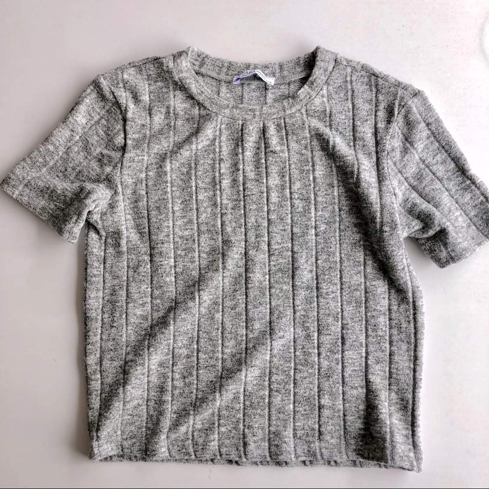 Zara- Trafaluc-Gray Knit Ribbed Short Sleeve Sweater Crop Top- Size Small